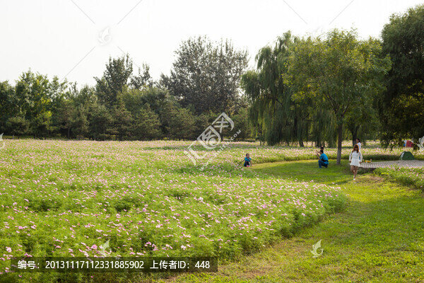 格桑花園
