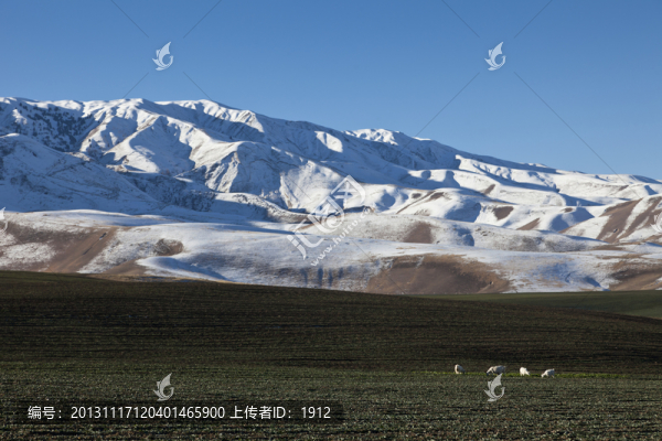 雪山,田野