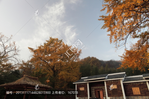 景區(qū)
