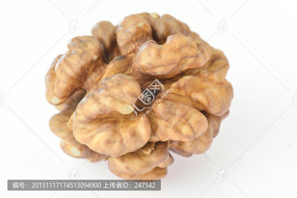 核桃腦