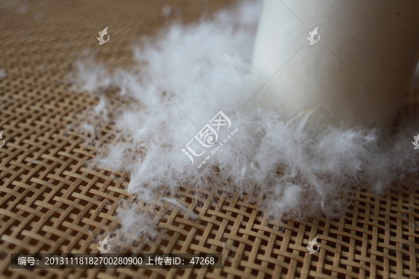 羽絨