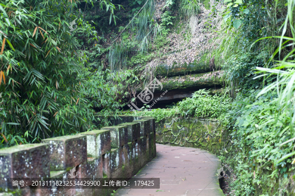 蜀南竹海仙寓洞棧道