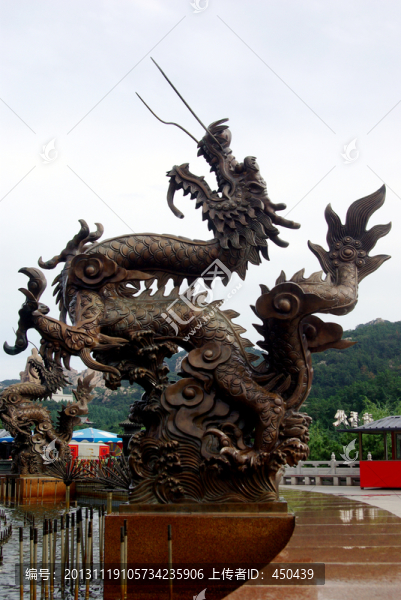 龍