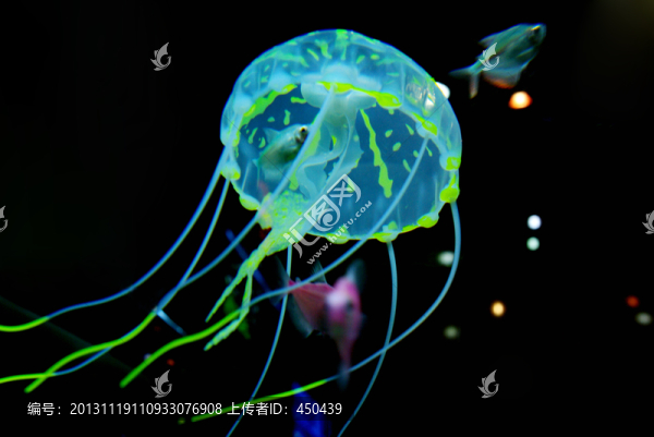 水母