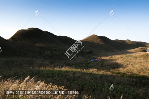 高山草甸