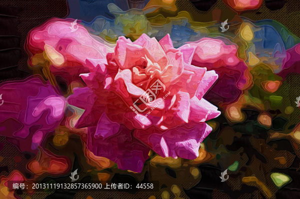 月季花
