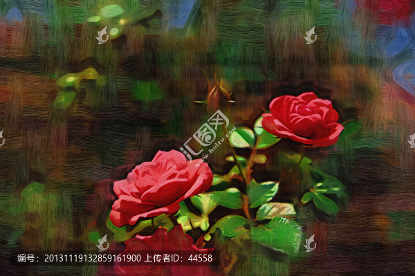 玫瑰