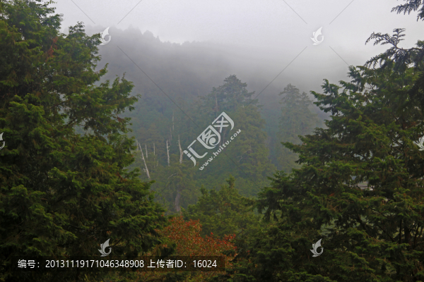 霧中景
