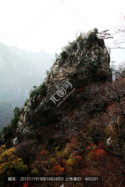 伏牛山老界嶺風(fēng)光