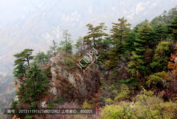 伏牛山老界嶺風光