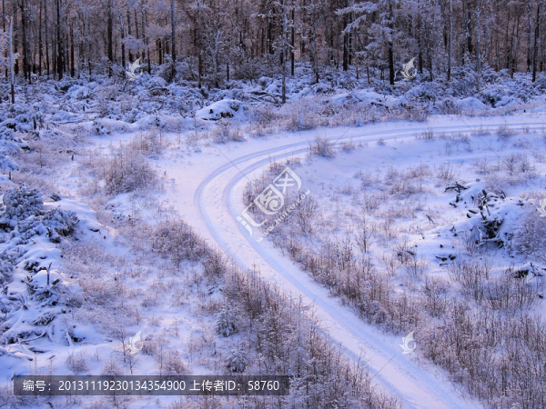 森林雪路