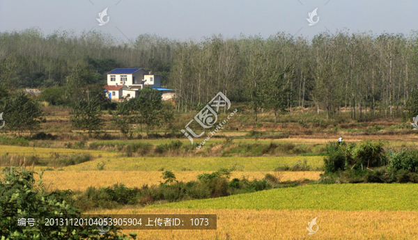 田野林間的農(nóng)家別墅