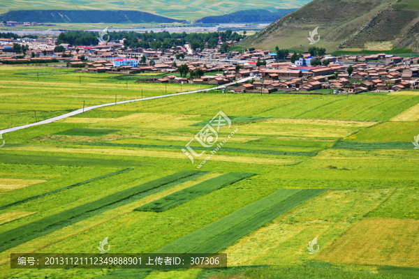 青海門源風(fēng)光