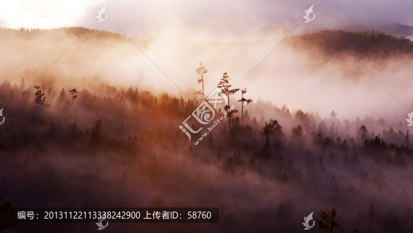 林海晨霧