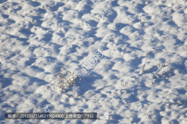 雪原