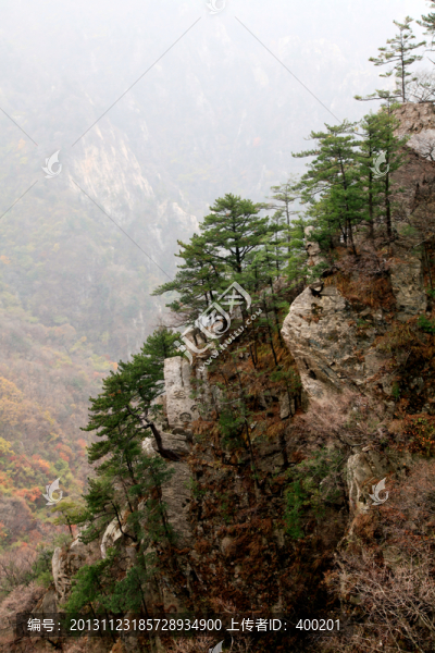 伏牛山老界嶺景區(qū)風(fēng)光