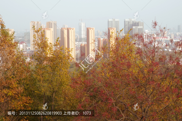 金秋城市紅葉