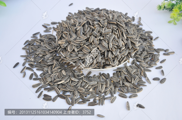 生美葵,葵花子