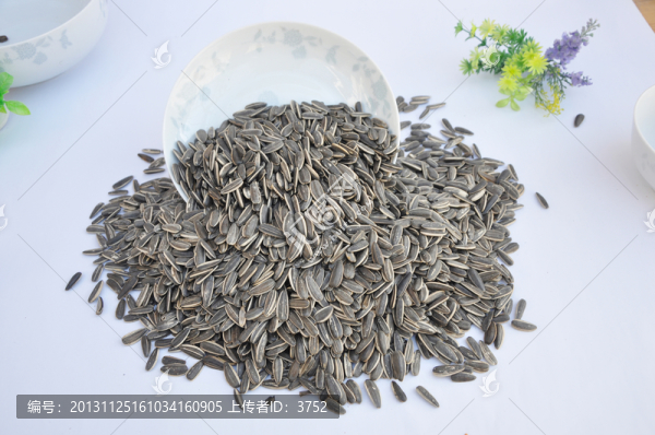 生美葵,葵花子