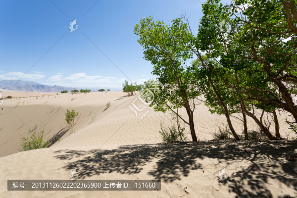 沙漠