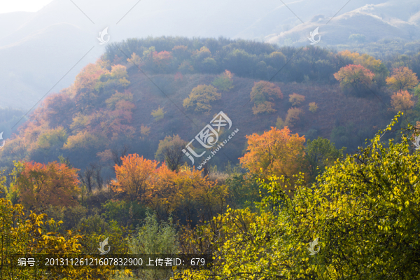 秋染,山野