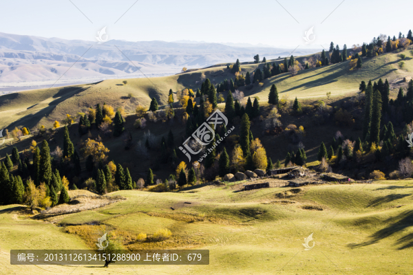 森林美景
