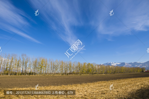 田園風(fēng)光