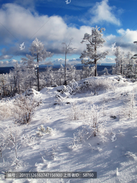 林海雪原
