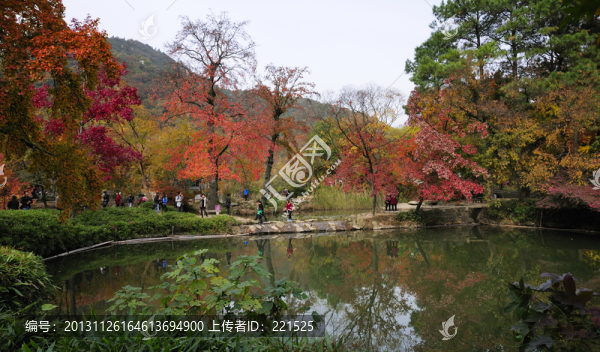蘇州天平山紅葉
