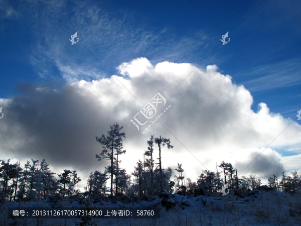 林海雪原