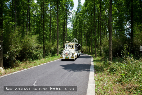崇明島,東平國(guó)家森林公園,戶外