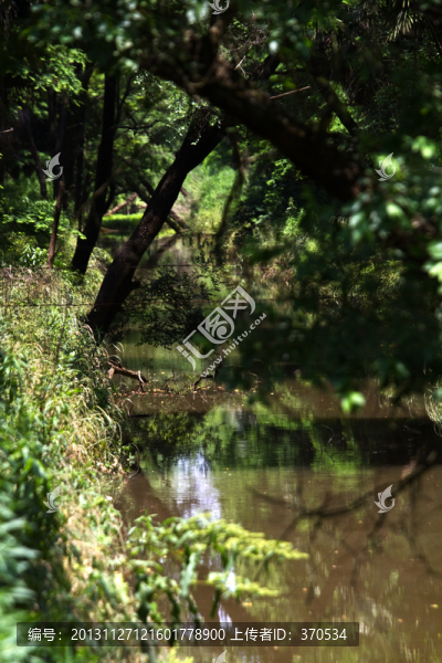 崇明島,東平國(guó)家森林公園,戶外