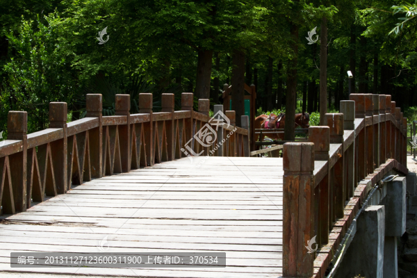 崇明島,東平國家森林公園,戶外