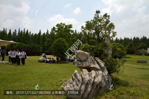 崇明島,東平國家森林公園,戶外
