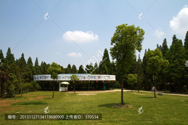 崇明島,東平國(guó)家森林公園,戶外