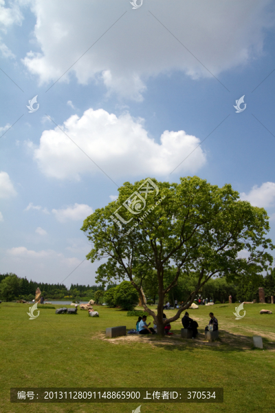 崇明島,東平國家森林公園,戶外