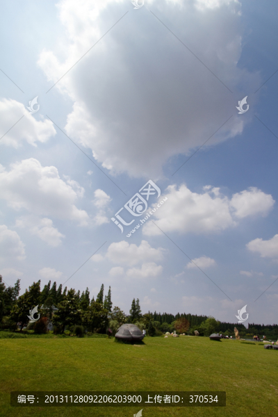 崇明島,東平國家森林公園,戶外