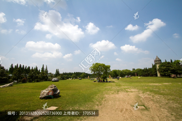 崇明島,東平國(guó)家森林公園,戶外