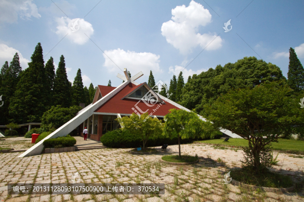 崇明島,東平國家森林公園,戶外
