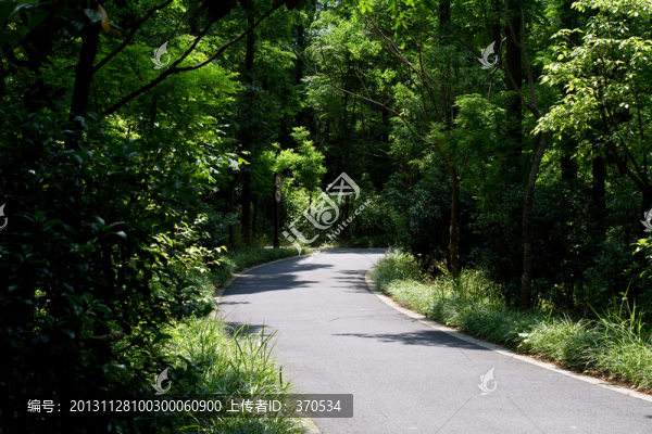 崇明島,東平國家森林公園,戶外