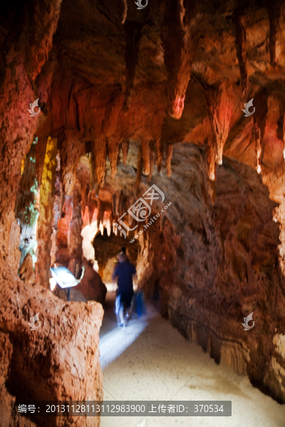 木化石,考古,博物館,崇明島