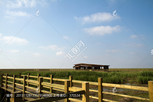崇明東灘濕地,藍(lán)天,自然,戶外