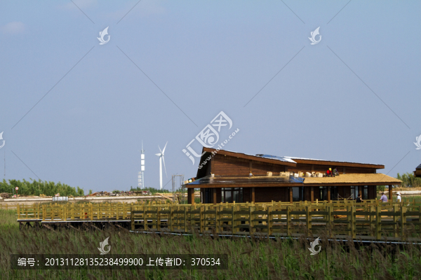 崇明東灘濕地,藍天,自然,戶外