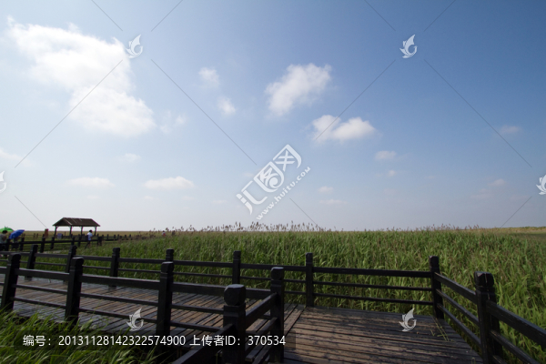 崇明東灘濕地,藍(lán)天,自然,戶外