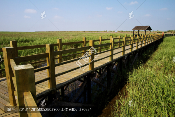 崇明東灘濕地,藍天,自然,戶外