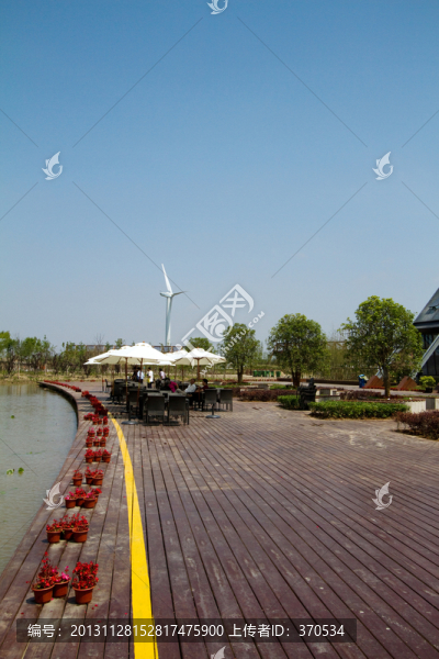 崇明東灘濕地公園