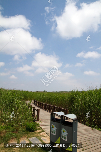 崇明東灘濕地公園,藍(lán)天,道路