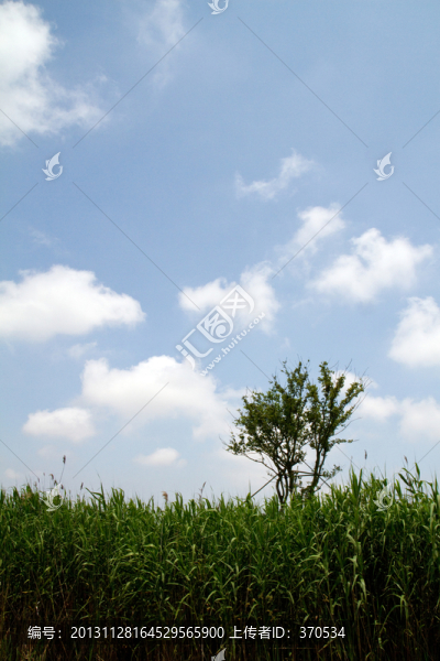 崇明東灘濕地公園,藍(lán)天,山坡