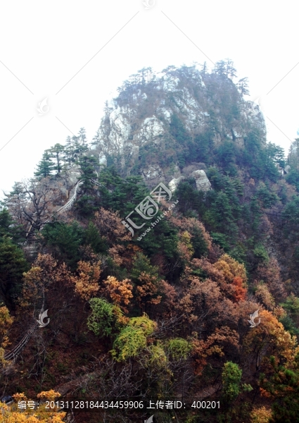 伏牛山老界嶺秋季風(fēng)光