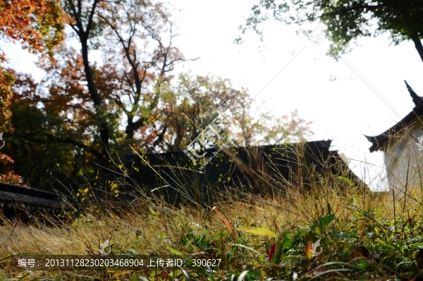 秋色滿園